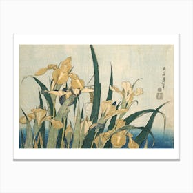 Irises With A Grasshopper Canvas Print