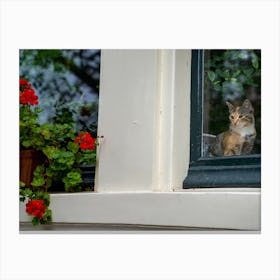 Meow in Amsterdam Canvas Print