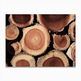 Warm Log Cross Section Canvas Print