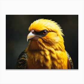 Yellow eagle Canvas Print