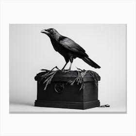 Crow On A Treasure Box Canvas Print