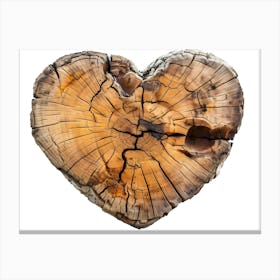 Heart Trunk Tree Wood Nature Forest Canvas Print