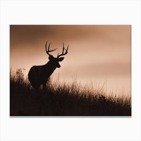 Deer Silhouette Canvas Print