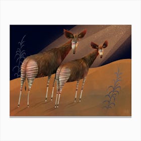 A pair of okapi Canvas Print