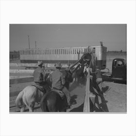 Brawley, California, Loading Cattle Into Trailer For Shipment To Market By Russell Lee Canvas Print