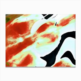 Koi Fish Canvas Print