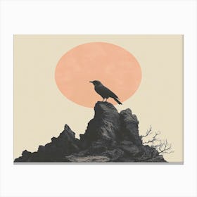 Crow On Rock Canvas Print