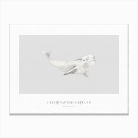 Boho Ocean 1 Beluga Whale Canvas Print