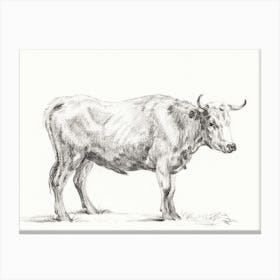Standing Bull 1, Jean Bernard Canvas Print