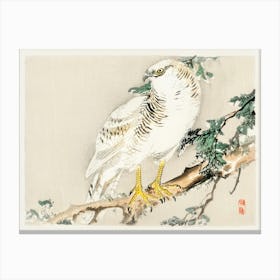 Northern Mockingbird, Kōno Bairei Canvas Print