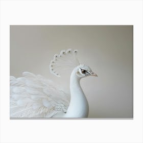 Peacock 4 Canvas Print