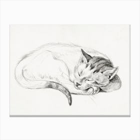 Sketch Of A Sleeping Cat, Jean Bernard Canvas Print