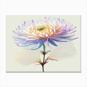 Chrysanthemum 6 Canvas Print