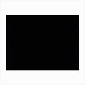 Black Cat On A Black Background Canvas Print