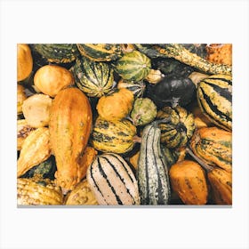 Autumn Squash Canvas Print