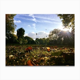 St Stephen's Green, Dublin Canvas Print