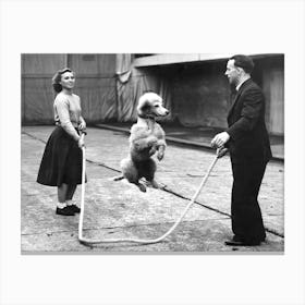 Dog Jumping Rope, Funny Black and White Vintage Photo Canvas Print