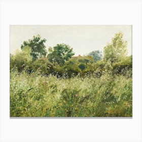 Field of Oats near vintage illustration Art Print Canvas Print