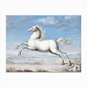 White Horse (1552–1601), Joris Hoefnagel Canvas Print