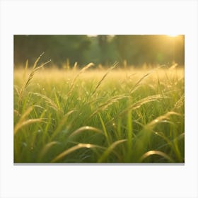 A Close Up Shot Of Tall Grass Blades With Dew Drops In A Field At Sunrise, Highlighting The Beauty And Tranquility Of Nature Canvas Print