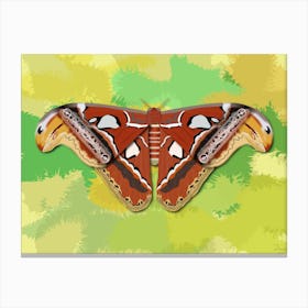 Mechanical Butterfly The Atlas Moth Techno Attacus Atlas On A Yellow And Green Background Canvas Print