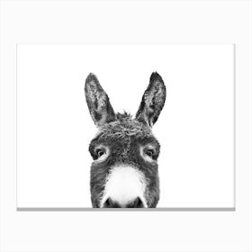 Hello Donkey Canvas Print