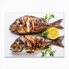 Two Grilled Fish On White Background 1 Canvas Print