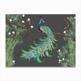 Proud Peacock Canvas Print
