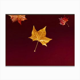 Autumnal Gradient Splash Transitioning From Warm Russet To Deep Burgundy Celebrating Thanksgiving Canvas Print