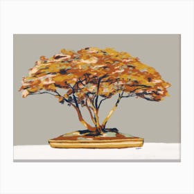 Bonsai Tree Canvas Print