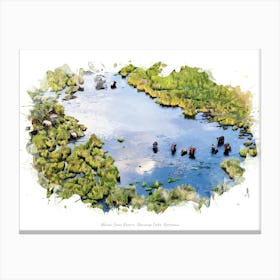 Moremi Game Reserve, Okavango Delta, Botswana Canvas Print