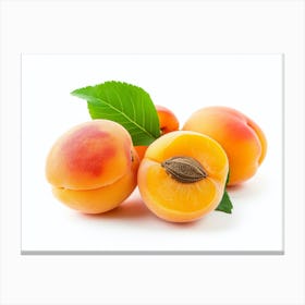 Apricots 12 Canvas Print