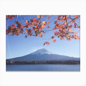 Mt Fuji In Autumn Canvas Print