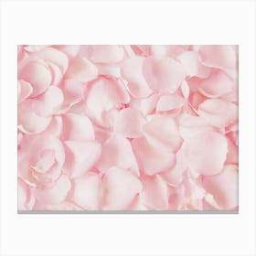 Baby Pink Flower Petals Canvas Print