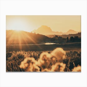Grand Teton Mountain Wildflower Sunset Canvas Print
