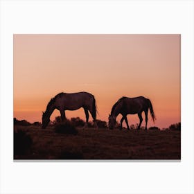 Horse Sunset Horizon Canvas Print