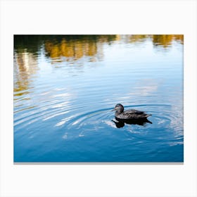 Duck In A Pond Canvas Print