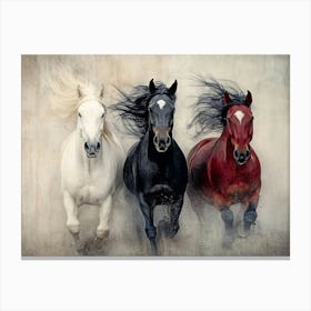 Three Horses Galloping Canvas Print