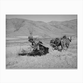 Fsa (Farm Security Administration) Cooperative Binder In Action, Mantua, Utah By Russell Lee Canvas Print