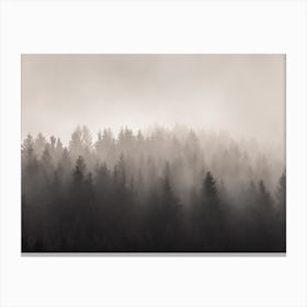 Modern Rustic Forest Canvas Print