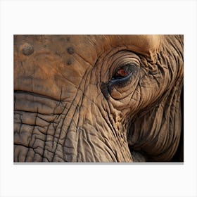 African Elephant Close Up Realism 4 Canvas Print