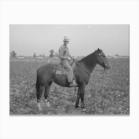 Member Of Cooperative Association, Overseer Of Cotton Pickers, Lake Dick Project, Arkansas By Russell Lee Canvas Print