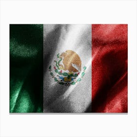 Flag Of Mexico 1 Canvas Print