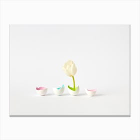 Easter Tulip 1 Canvas Print