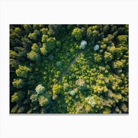 Aerial View Capturing The Vibrant Canvas Of A Lush Green Forest In Springtime Canopy Of Dense Reju (3) Canvas Print