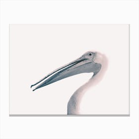 Toned Photograph Of A Pelican Canvas Print