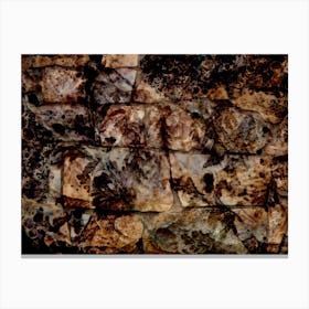 Abstraction Of Natural Stone Canvas Print