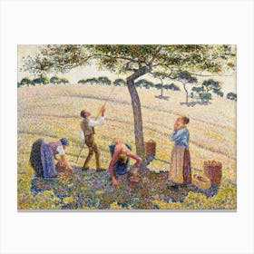 Apple Harvest (1888), Camille Pissarro Canvas Print