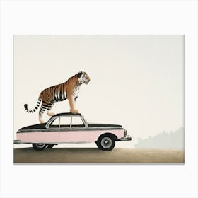Tiger And The Car Canvas Print