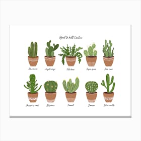 Terracotta Potted Cactus Canvas Print